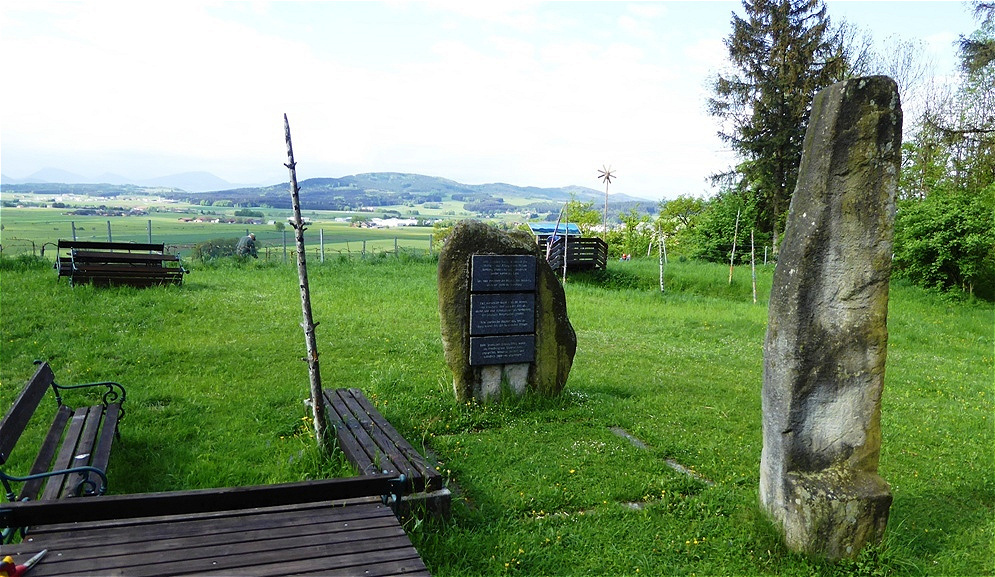 7. Mai  -  Pflege des Weingartens
