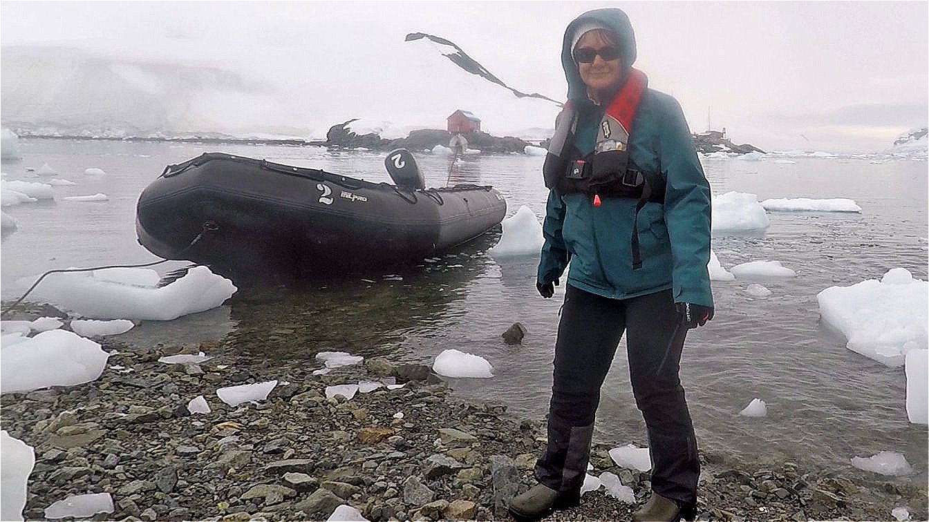 Irene betritt die Antarktis