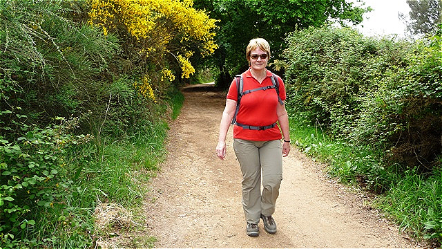 Schöne Wege durch üppige Vegetation