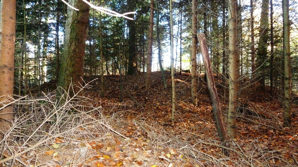 Hügelgrab - Ansicht Westseite