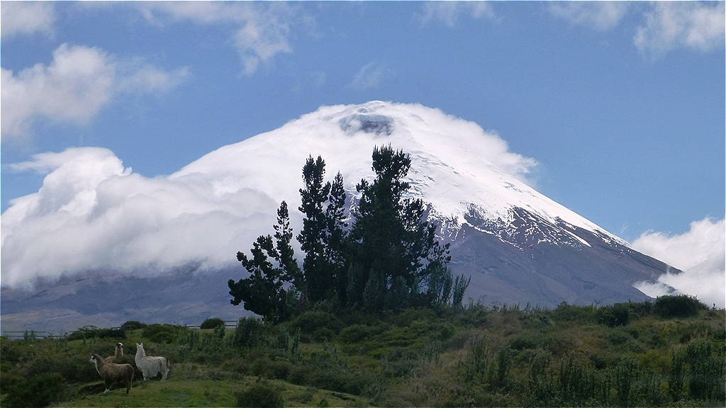 DasWetter macht uns Sorgen !