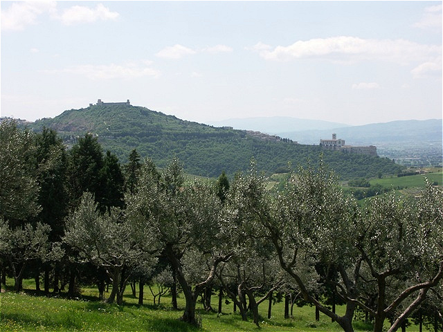 Erster Blick auf Assisi
Links oben das Kastell, rechts unten die Ober- und Unterkirche