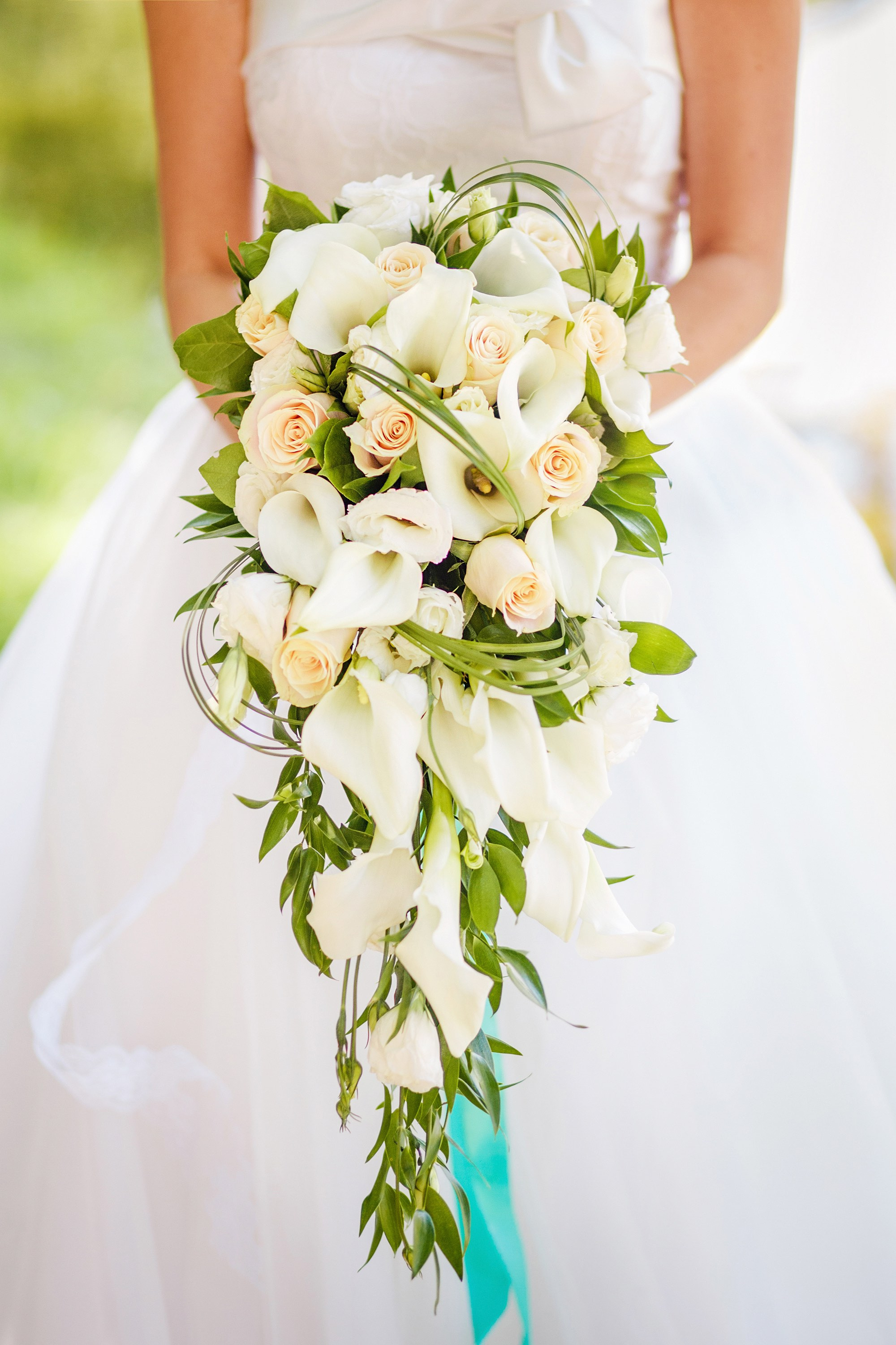 https://0501.nccdn.net/4_2/000/000/038/2d3/AdobeStock_111429254_k-2000x3000.jpg