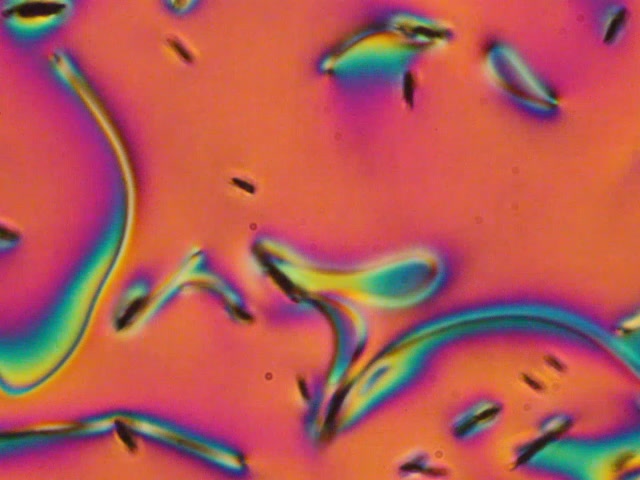 Ferroelectric platelets are accelerated by electric field