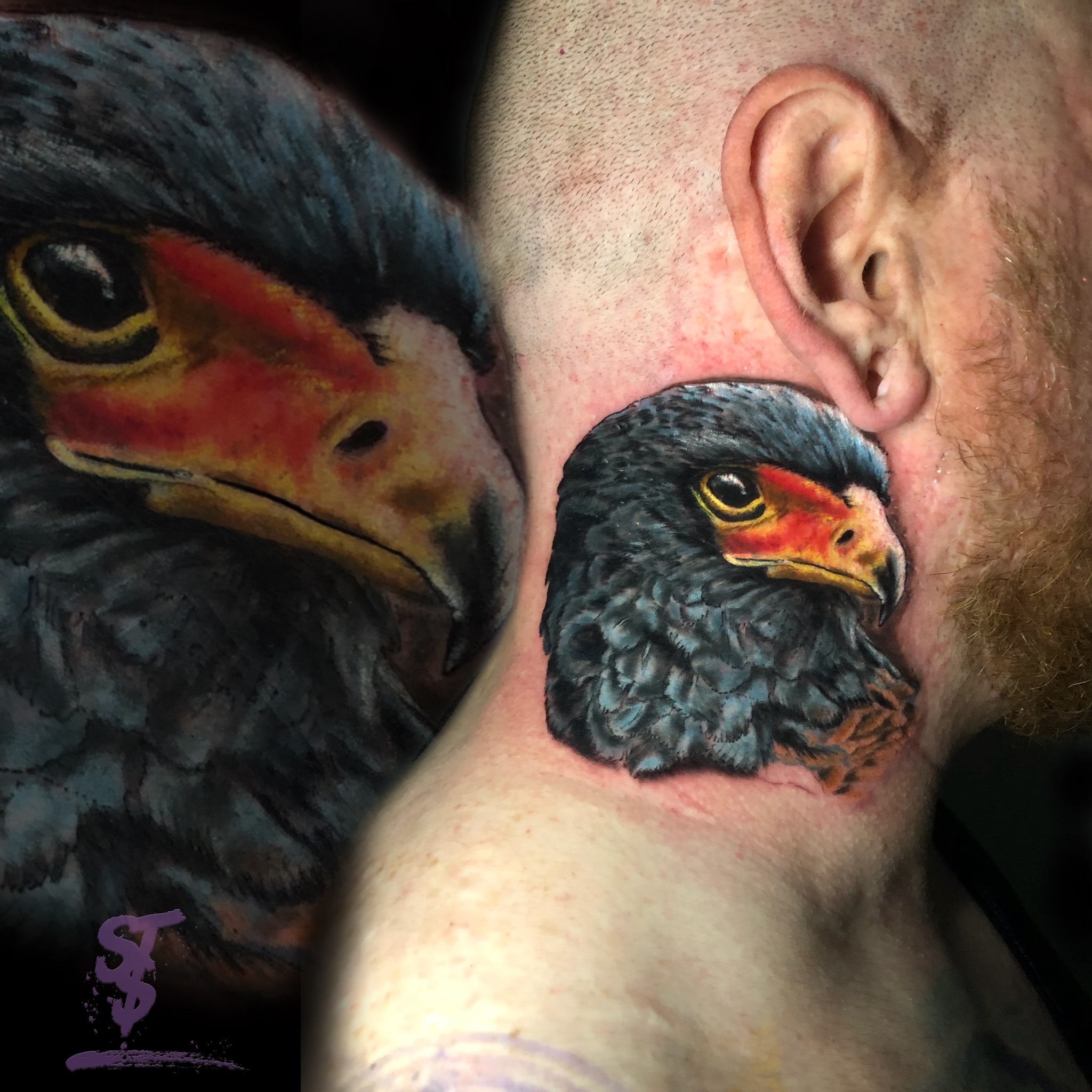 eagle Adler realistic color Tattoo
