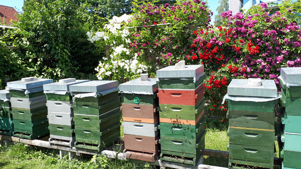 Bienenstock Garten