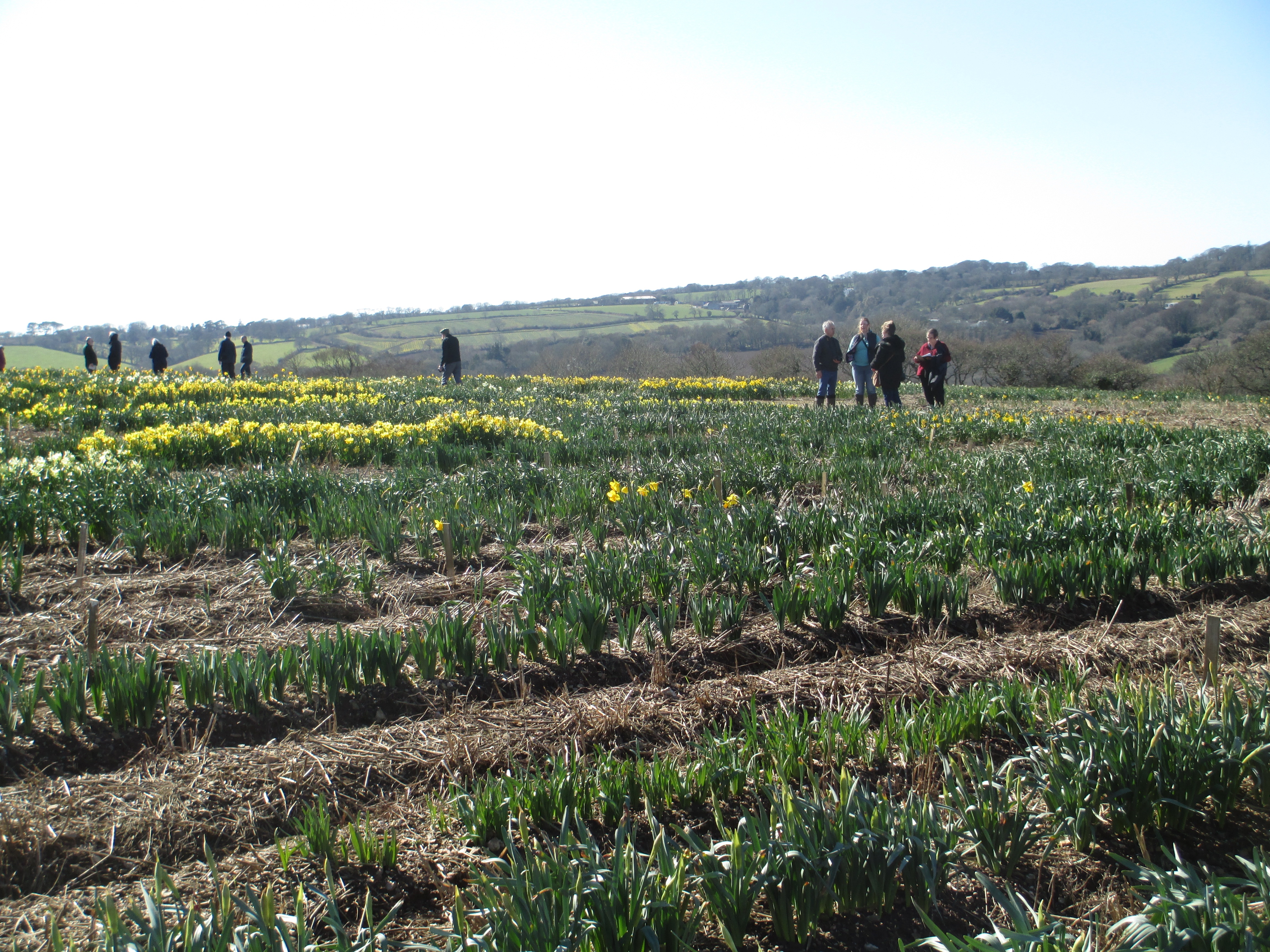 Ron Scamp's field where his son Adrian, who now handles the day-to-day running of the company, showed members round.

