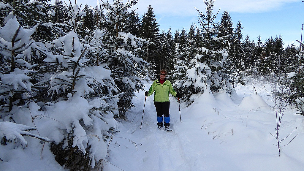 Tief verschneiter Wald