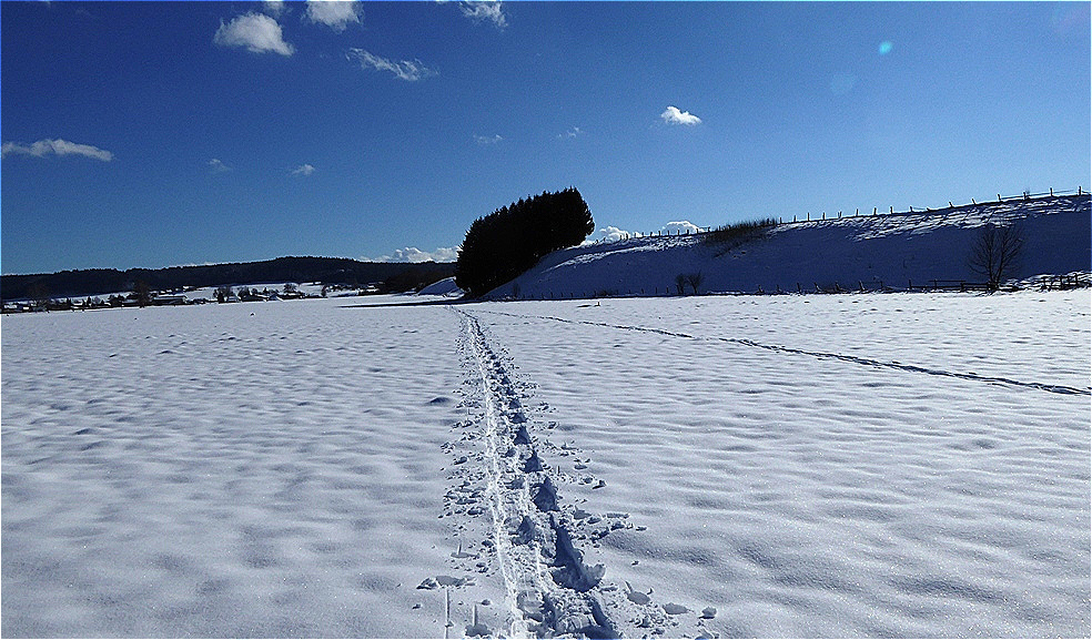 Der Weg ist das Ziel !