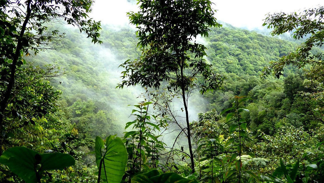 Dominica - die grüne Insel - Wasserreichtum !