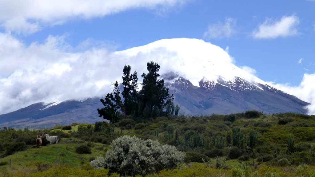 Mit gemischten Gefühlen beobachten wir die Entwicklung des Wetters !