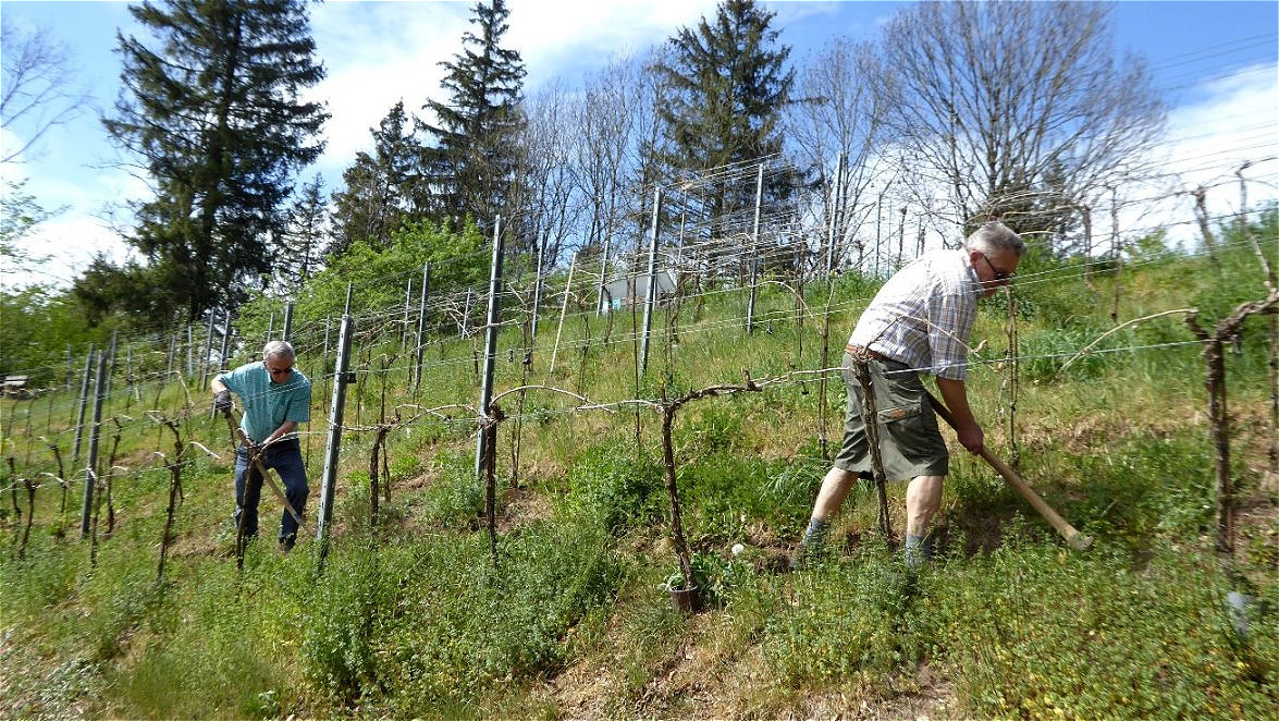 Wege am Hang werden überarbeitet