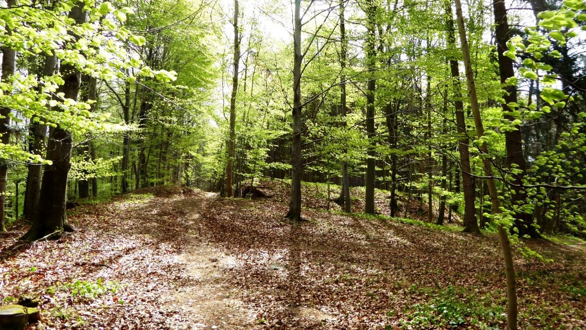 Der nördliche Eingang