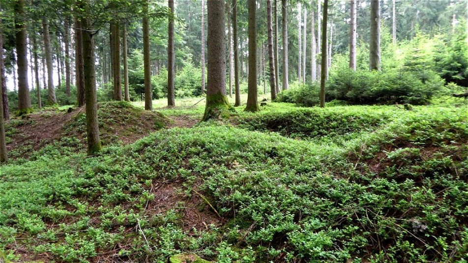 Geöffneter Grabhügel