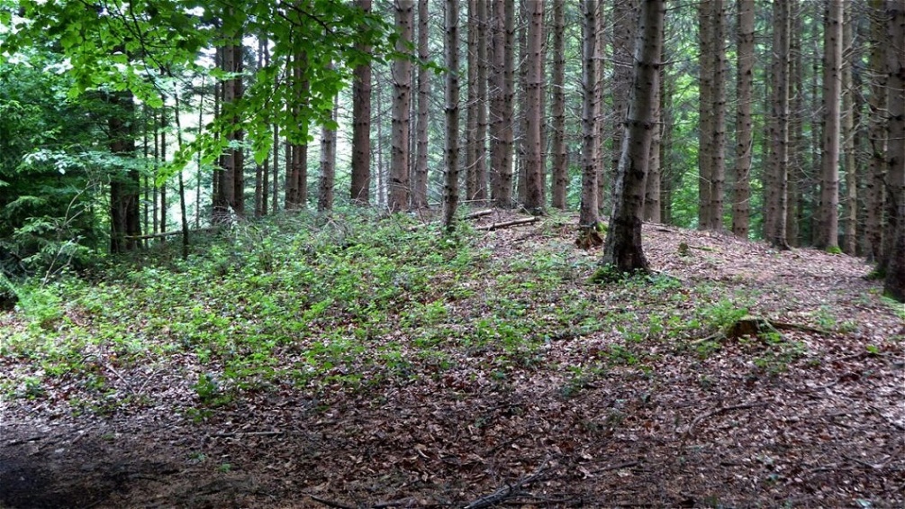 Gewaltiger Tumulus mit ca.  25 Meter Durchmesser