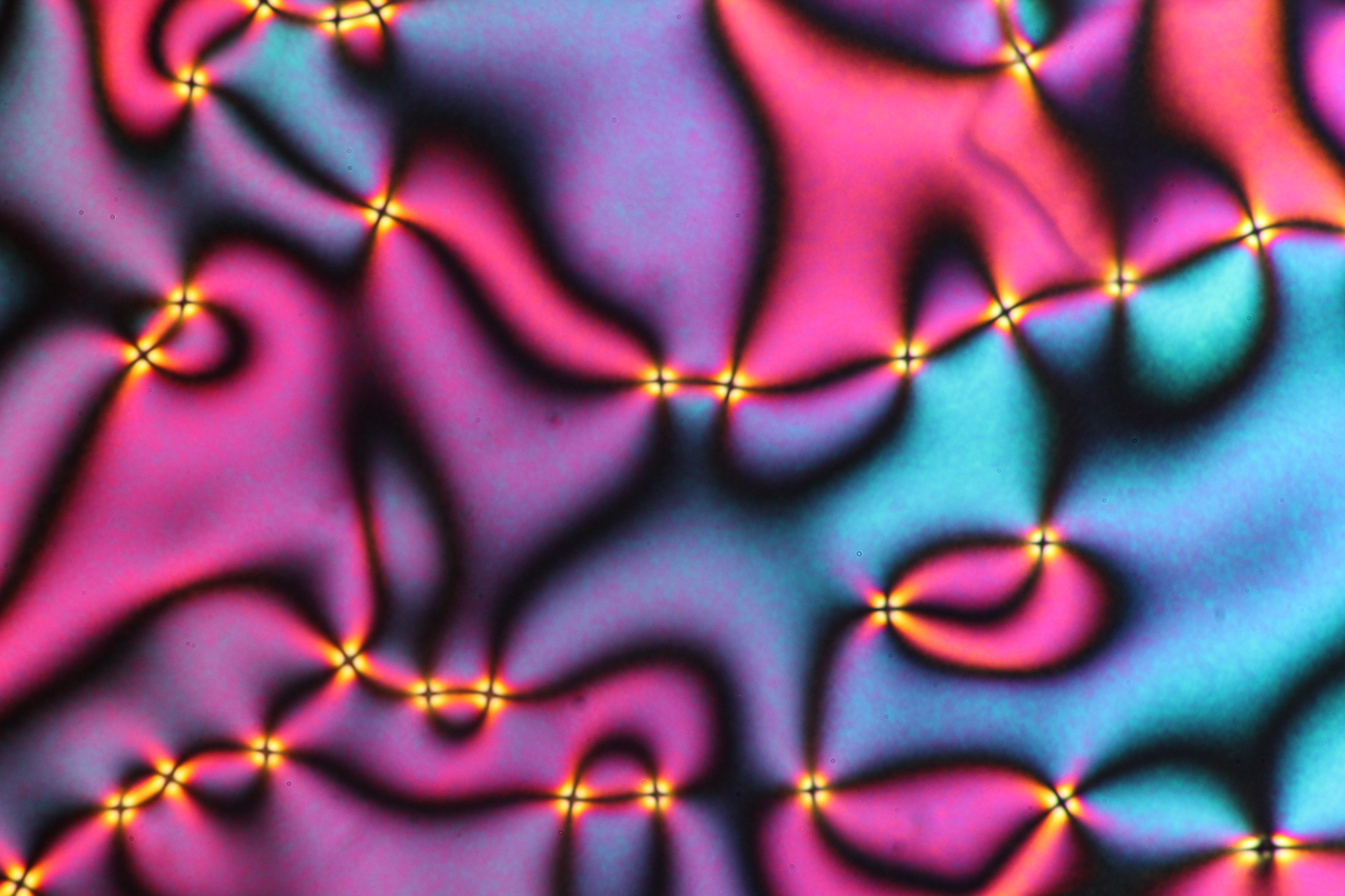 Umbilic defects in nematic LC2