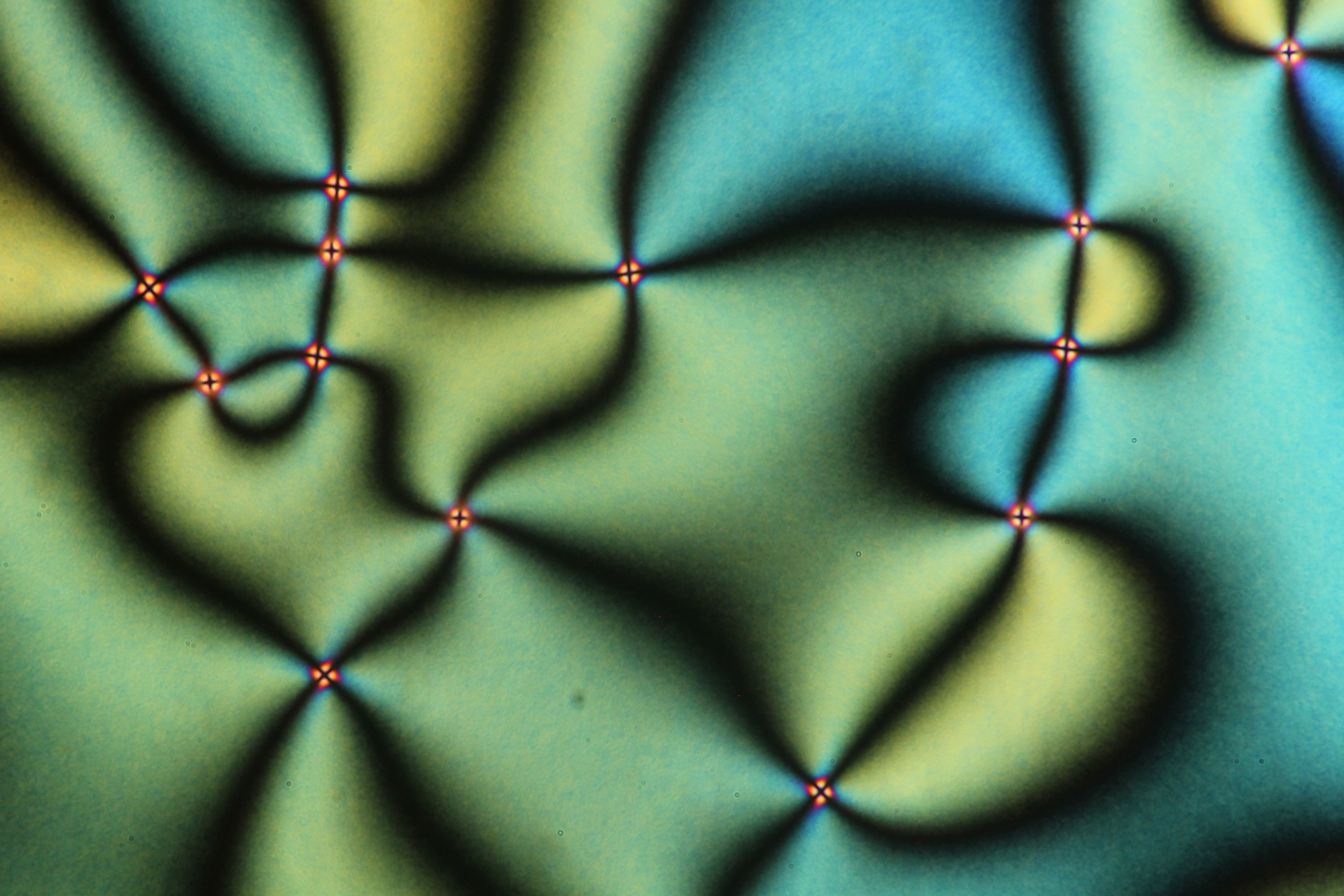 Umbilic defects in nematic LC4