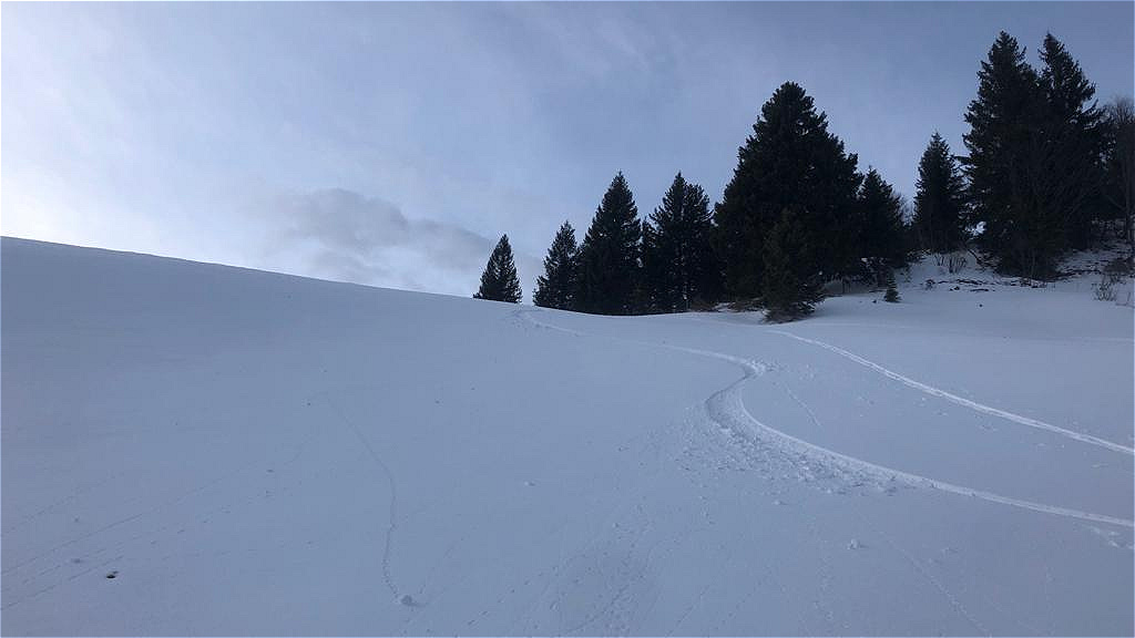 Zwölferhorn 13.02.2020