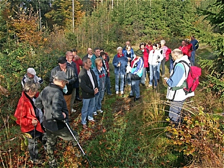 Auf dem Ederbergrücken