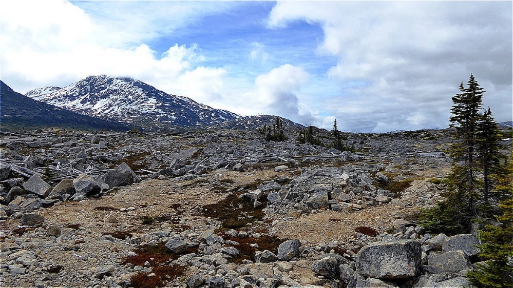 Blick von der Zugplattform