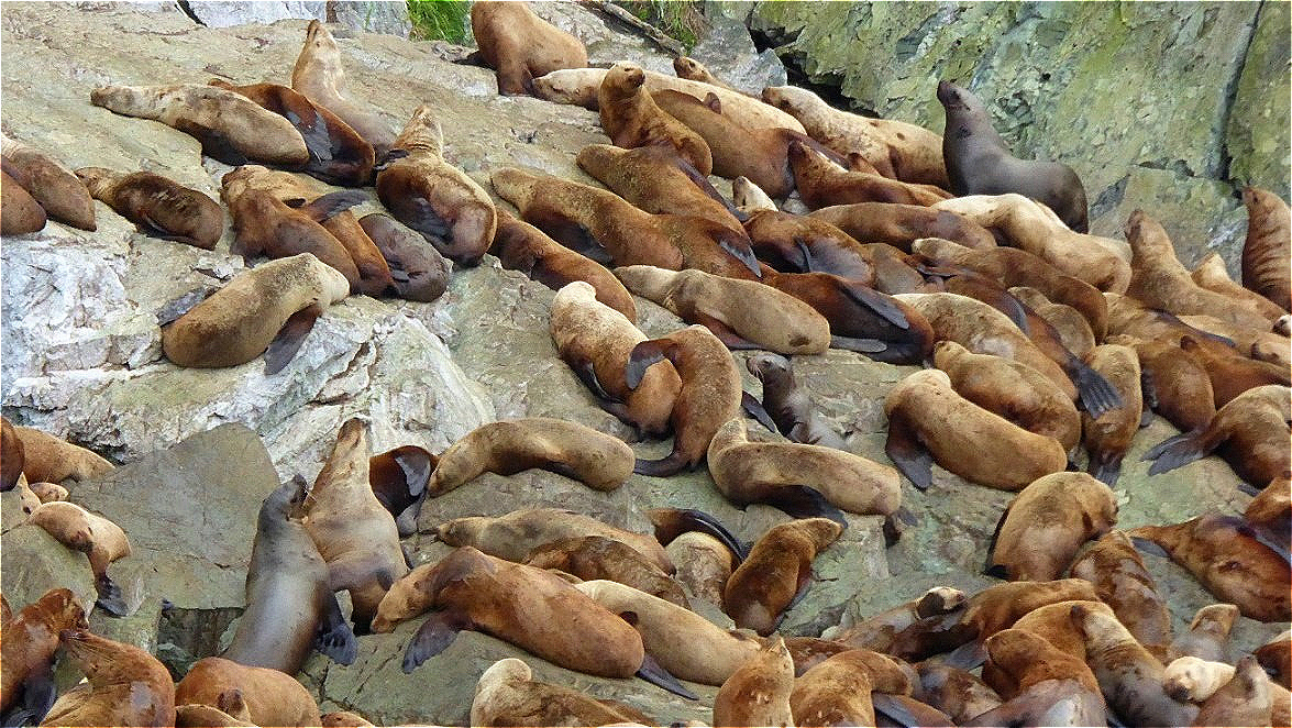 Siesta auf den Felsen !