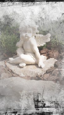 skupina_ptica_za_vas