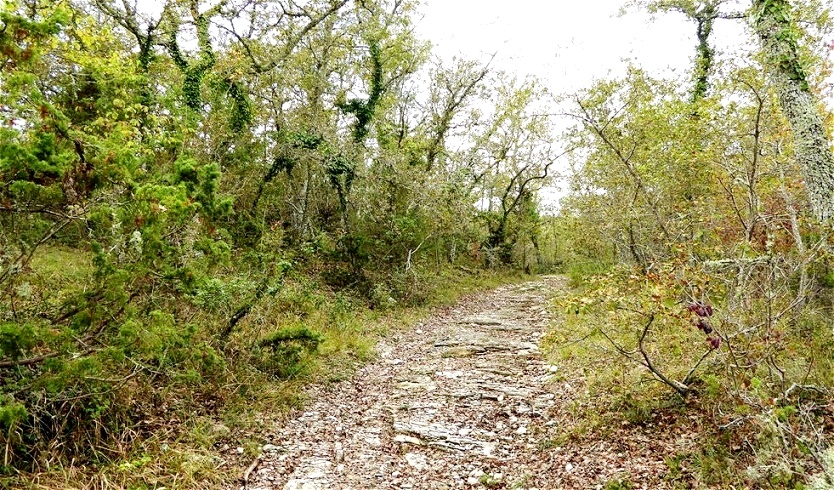 Steiniger Weg hinunter nach Gaiole