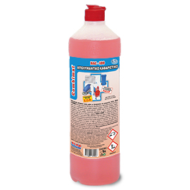 Bac 100 1L Απολυμαντικό Γεν. Χρήσης 