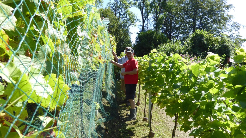 Dann folgt die andere Seite