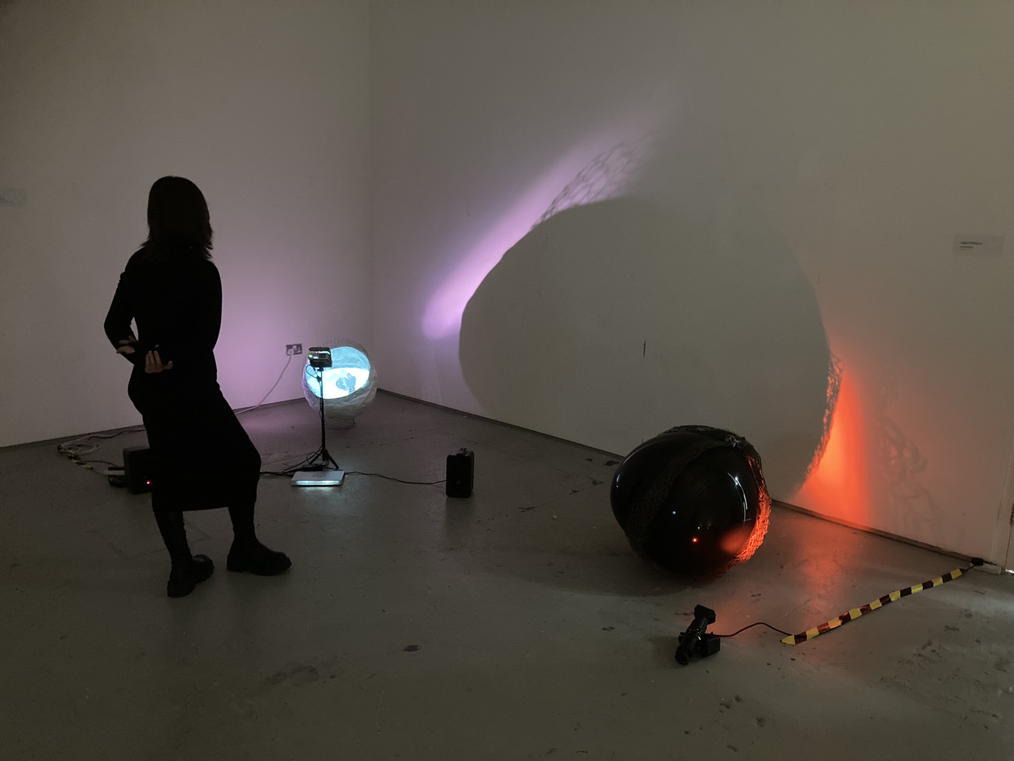 https://0501.nccdn.net/4_2/000/000/038/2d3/caged-and-caged-balloon-installation-spike-2022.jpeg