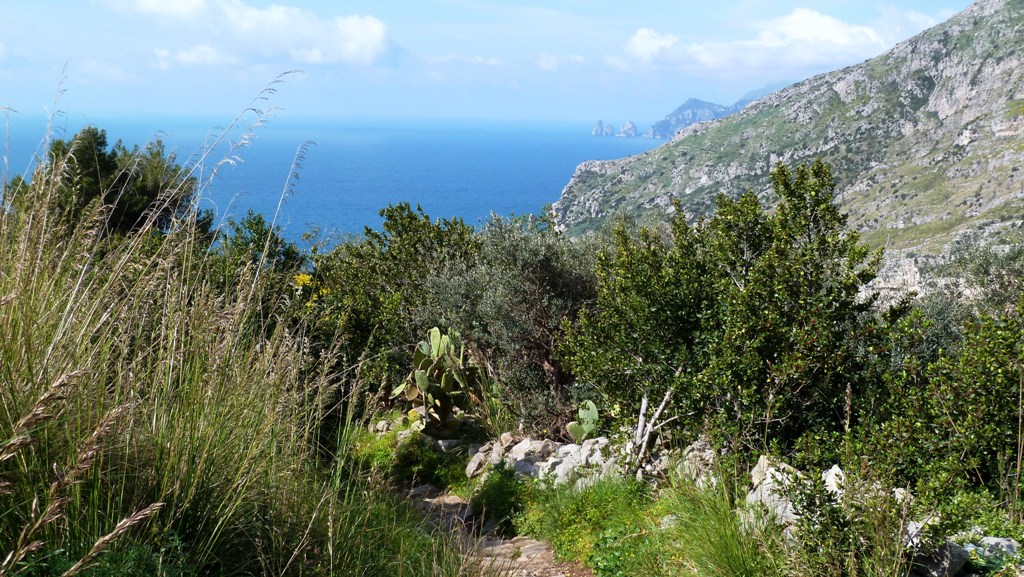 Im Westen erkennt man die Insel Capri