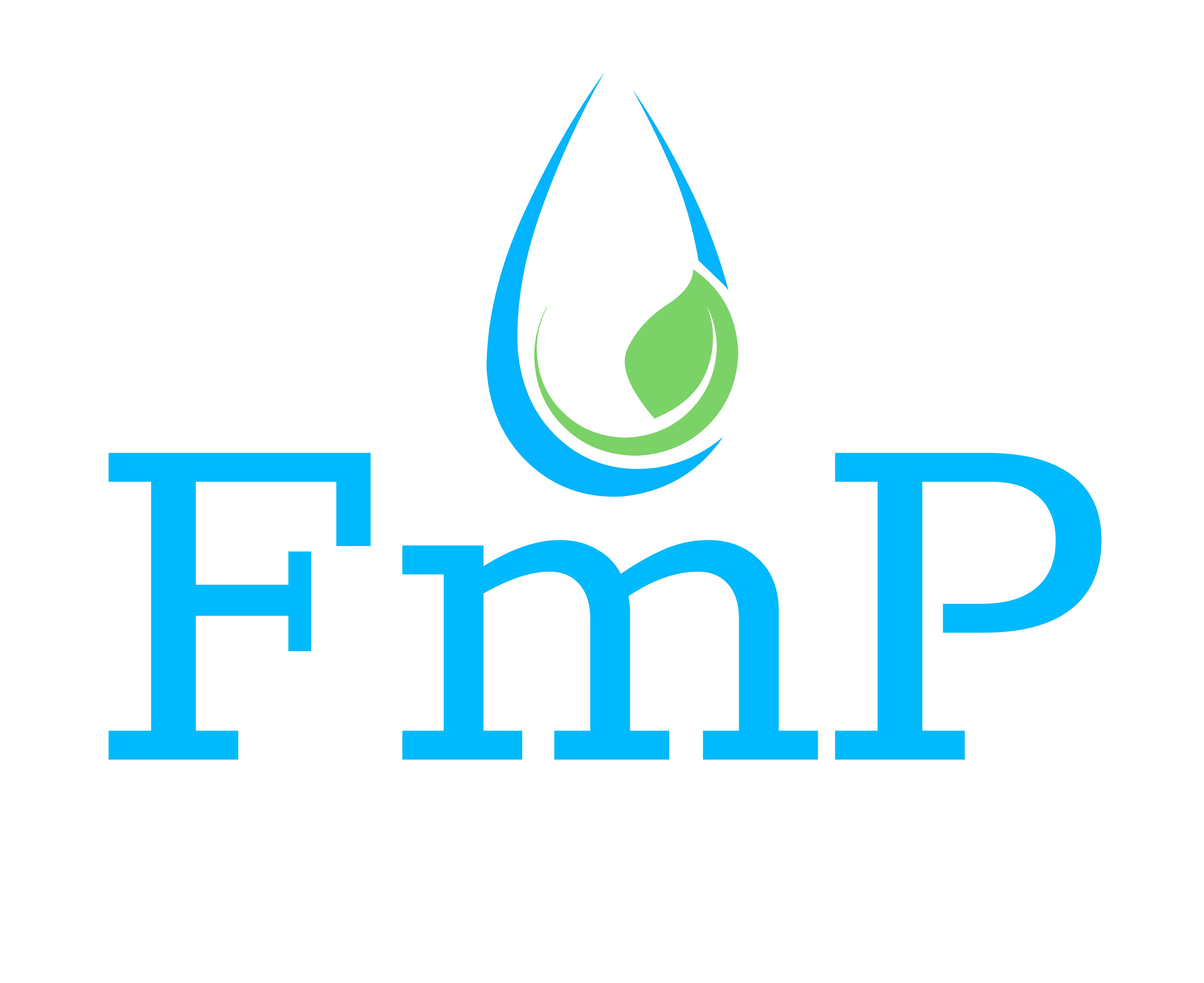 FMP - Facilitymanagement Paulsen