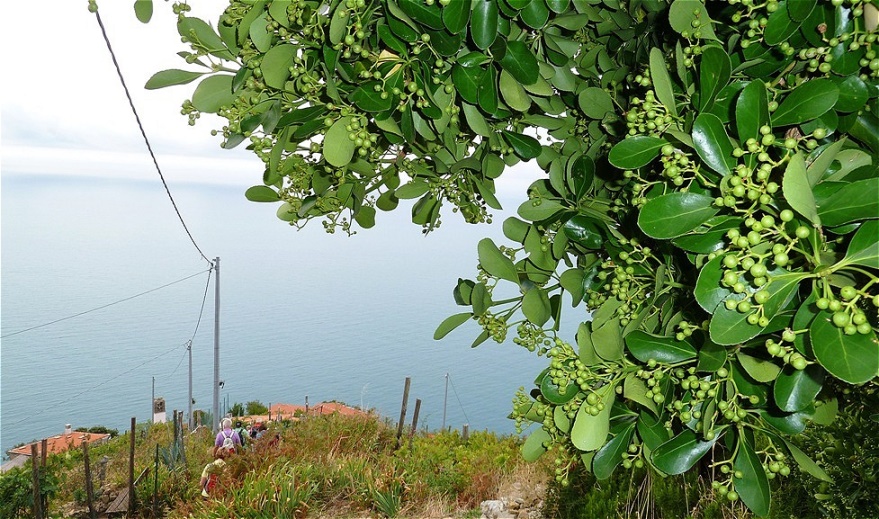 Hinunter nach Fossola