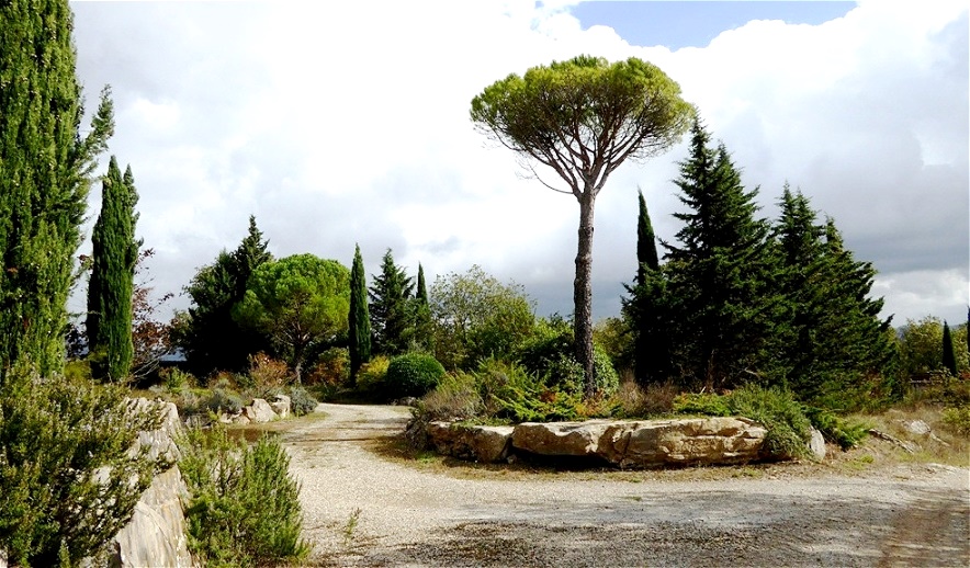 Typische Flora der Toskana