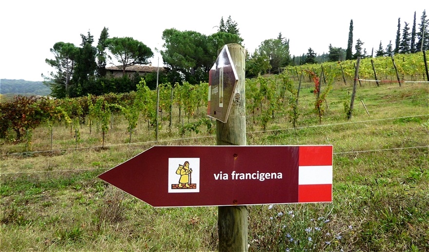 Die letzten Kilometer wandern wir auf dem "Frankenweg" !
