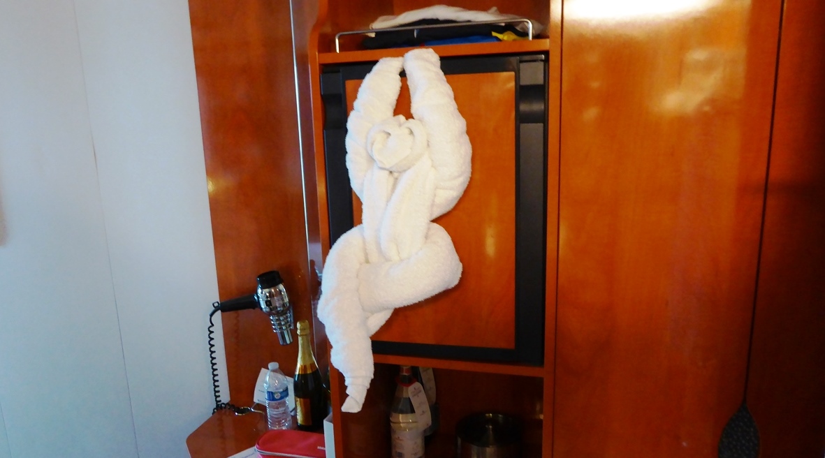 Tierleben in der Kabine !