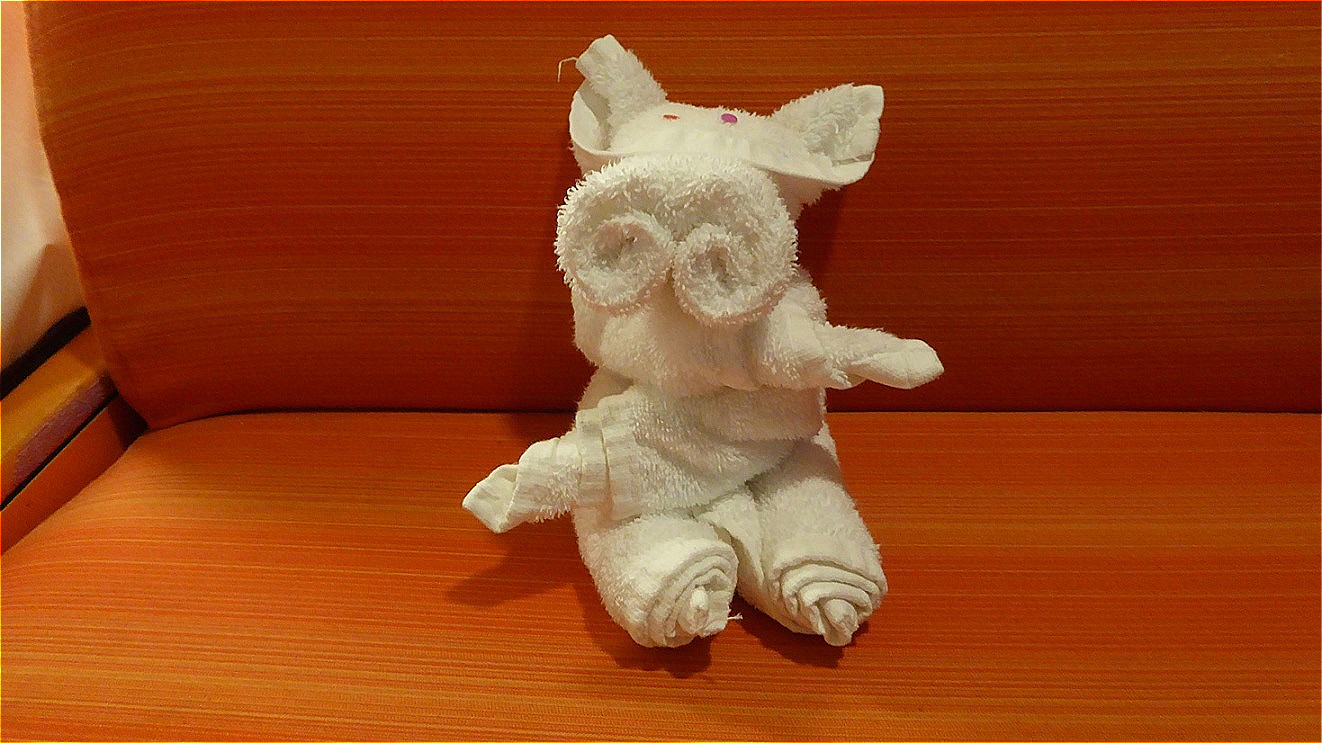 Überraschung nach dem Abendessen  in der Kabine !