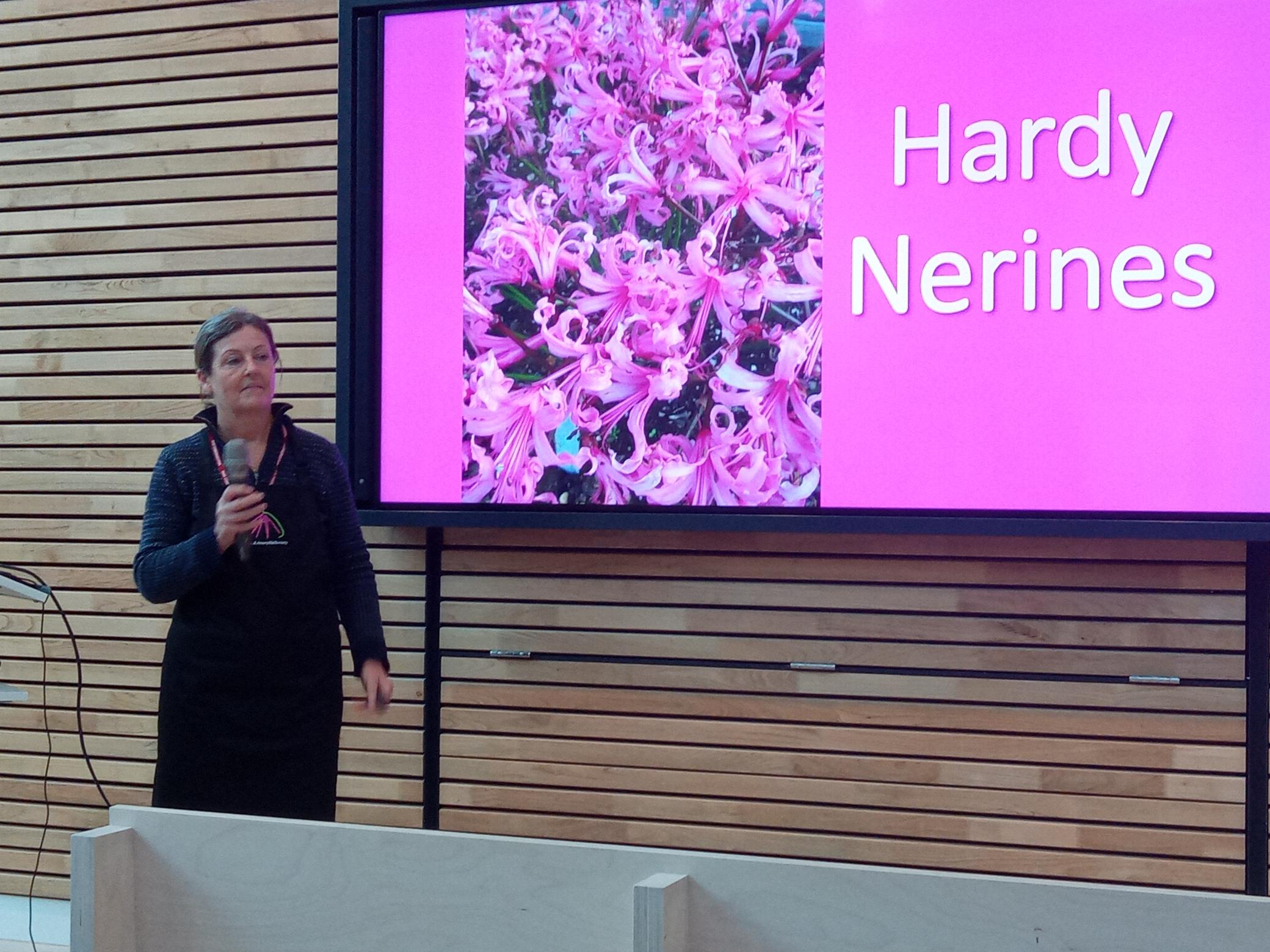 ....and Caroline giving hers on Hardy Nerines.