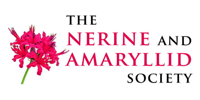 Nerine and Amaryllid  Society
