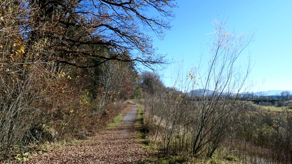 18. November Naturpfad und Galgenholz