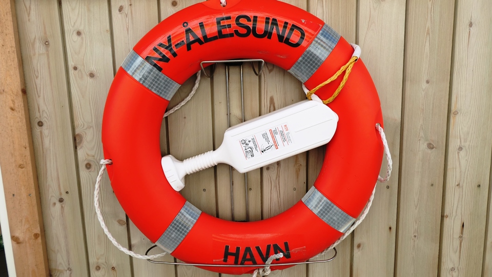 Empfang in Ny-Alesund