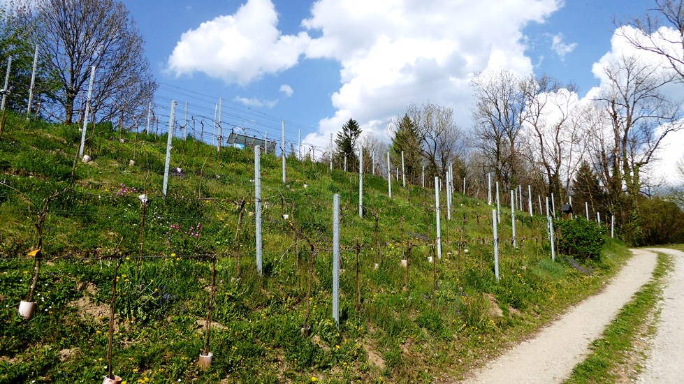 2017_04_10  Südseite