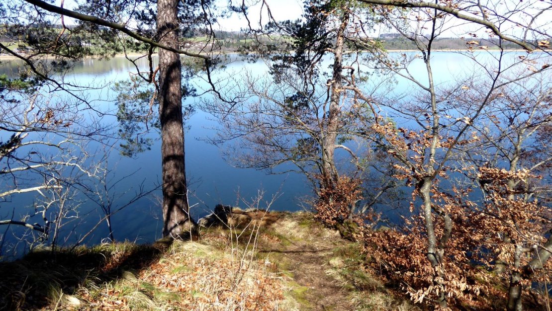 Am steilen Nordabfall zum Obertrumer See