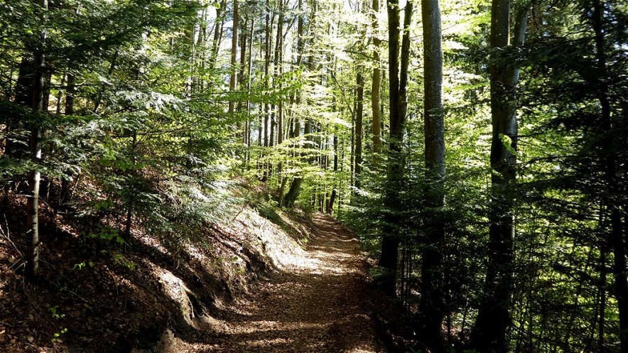 Bibelweg - 19. April 2019