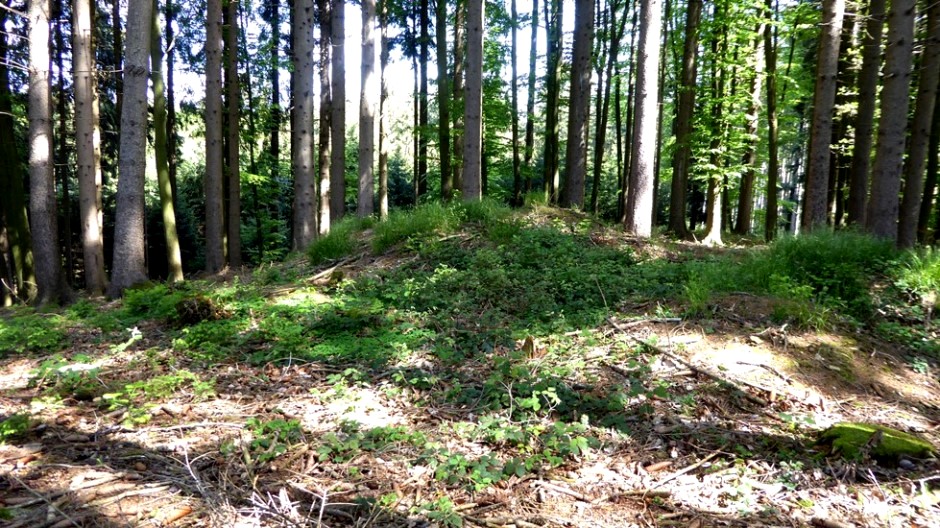 Keltischer Grabhügel im Wald in der Nähe der Ortschaft Daxjuden