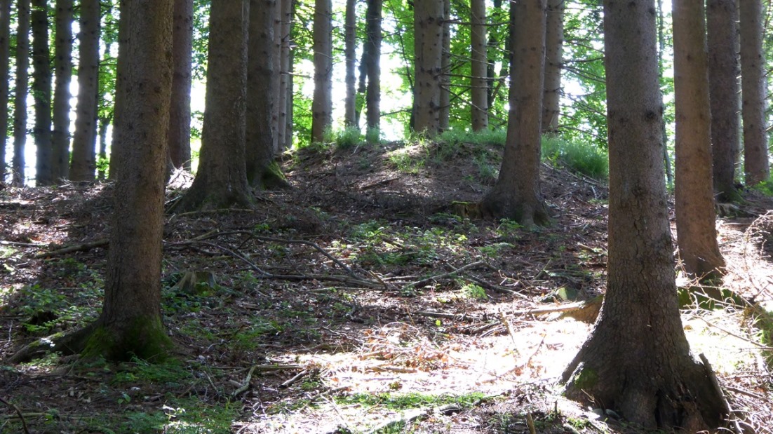 Verdächtiger Erdhügel - Hügelgrab ?