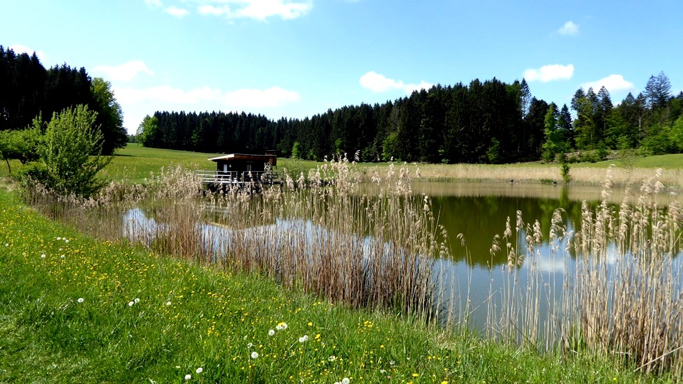 Fischerteich in Daxjuden