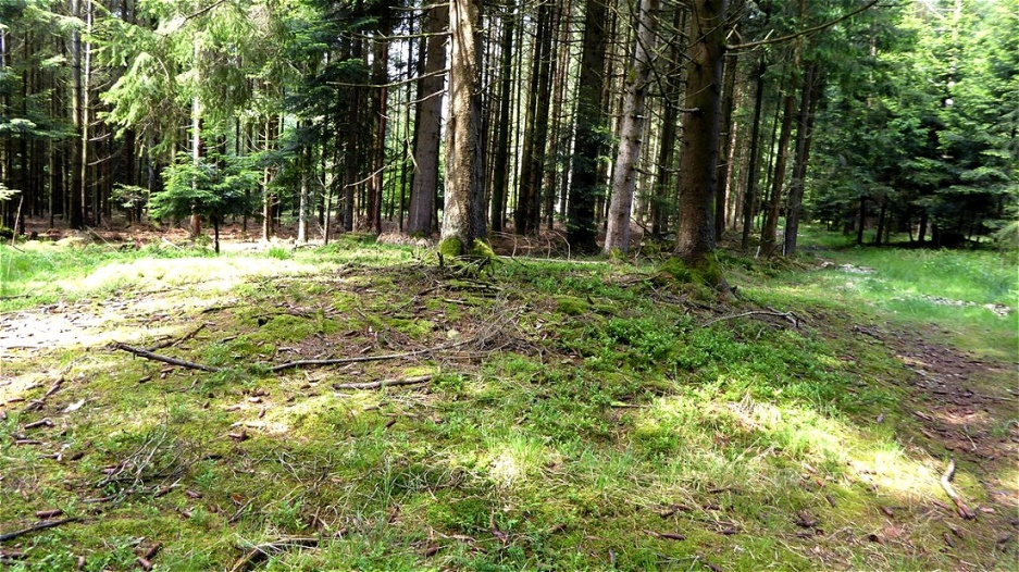 "Auseinandergeflossener" flacher Grabhügel am Rande des Karrenweges