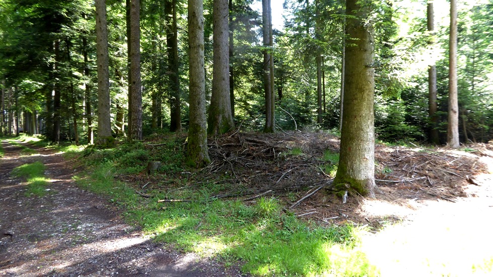 Die Witterung der letzten 2.500 Jahre ließ die Hügel auseinanderfließen !