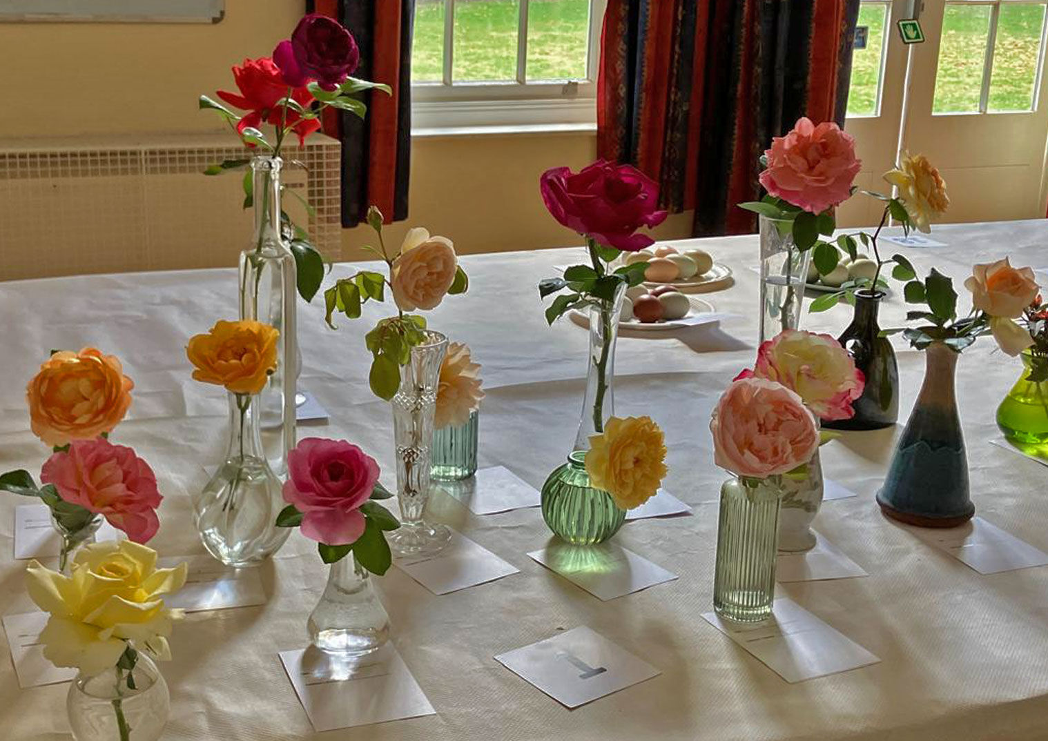 https://0501.nccdn.net/4_2/000/000/038/2d3/roses1.jpg